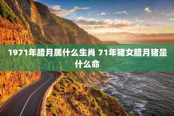 1971年腊月属什么生肖 71年猪女腊月猪是什么命