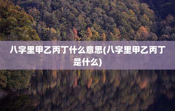 八字里甲乙丙丁什么意思(八字里甲乙丙丁是什么)