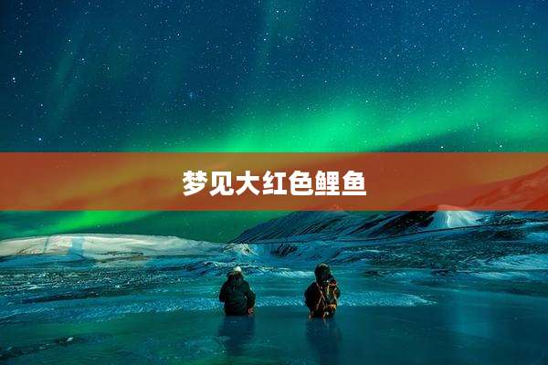 梦见大红色鲤鱼