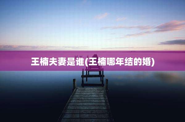 王楠夫妻是谁(王楠哪年结的婚)
