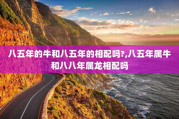 八五年的牛和八五年的相配吗?,八五年属牛和八八年属龙相配吗