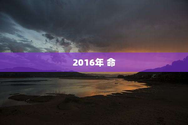 2016年 命