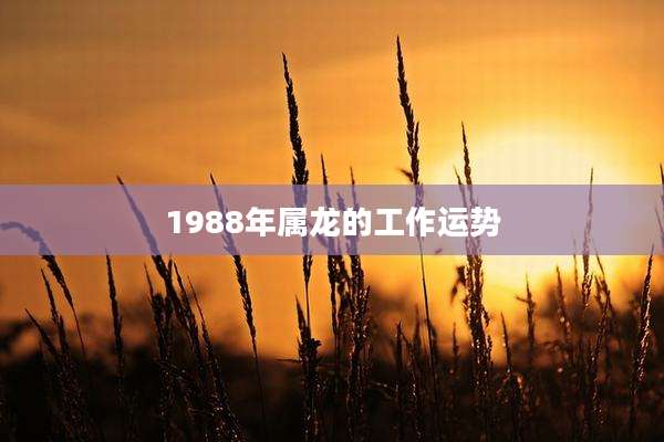1988年属龙的工作运势