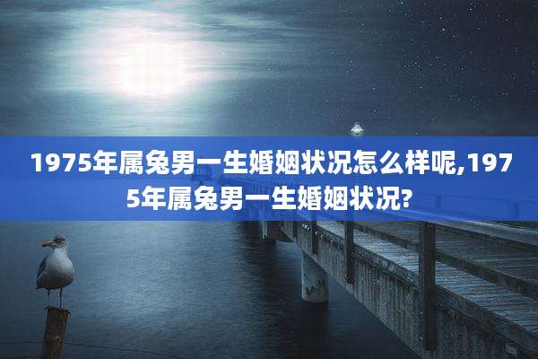1975年属兔男一生婚姻状况怎么样呢,1975年属兔男一生婚姻状况?