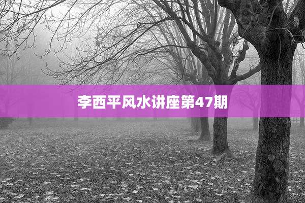 李西平风水讲座第47期