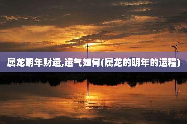属龙明年财运,运气如何(属龙的明年的运程)
