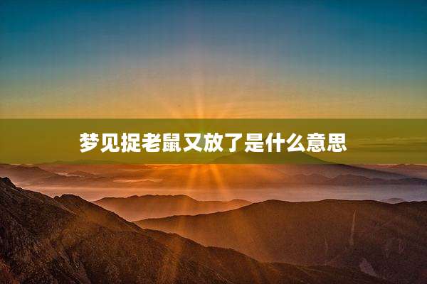 梦见捉老鼠又放了是什么意思
