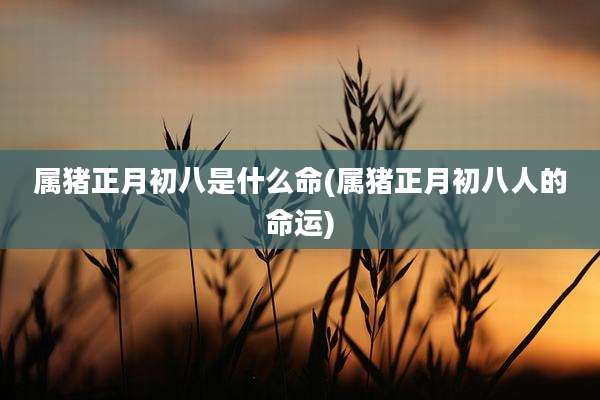 属猪正月初八是什么命(属猪正月初八人的命运)