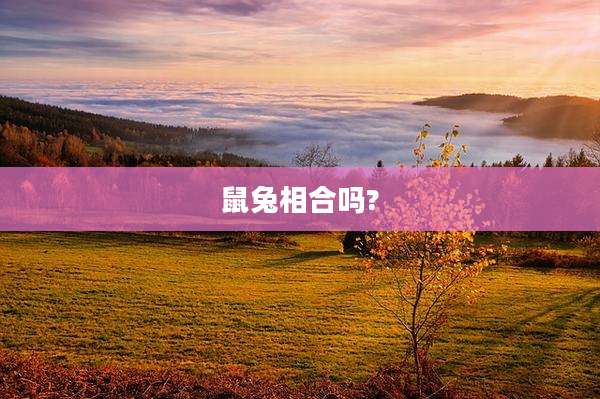 鼠兔相合吗?
