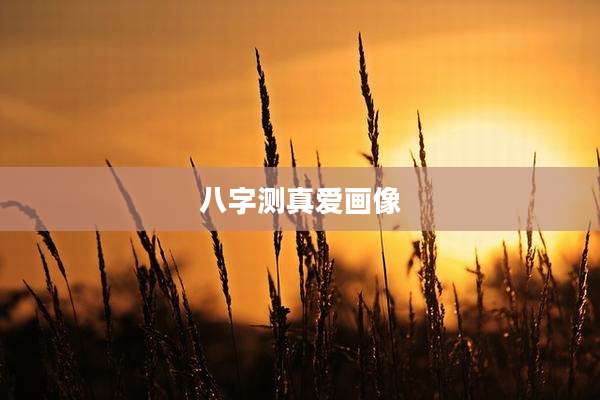 八字测真爱画像