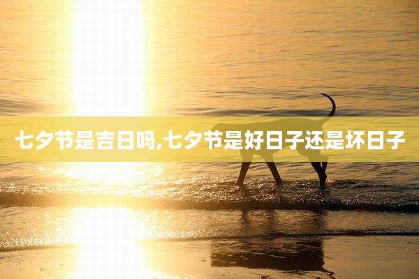 七夕节是吉日吗,七夕节是好日子还是坏日子