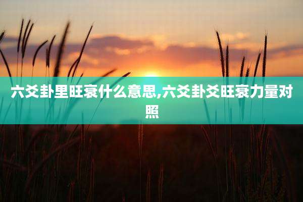 六爻卦里旺衰什么意思,六爻卦爻旺衰力量对照