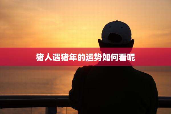 猪人遇猪年的运势如何看呢