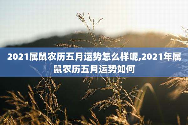 2021属鼠农历五月运势怎么样呢,2021年属鼠农历五月运势如何