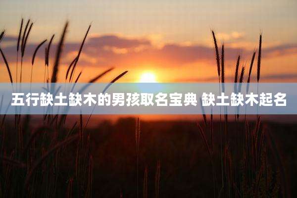 五行缺土缺木的男孩取名宝典 缺土缺木起名