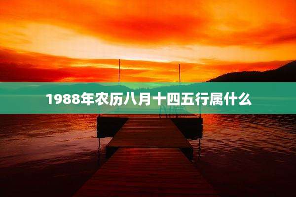 1988年农历八月十四五行属什么