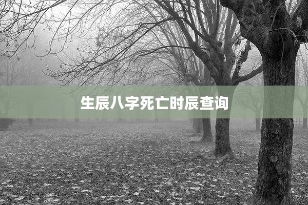 生辰八字死亡时辰查询
