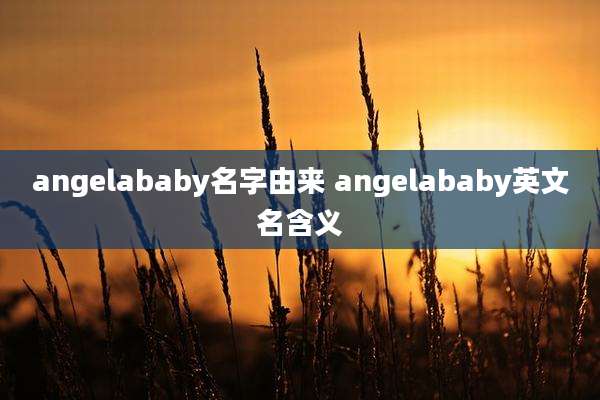 angelababy名字由来 angelababy英文名含义