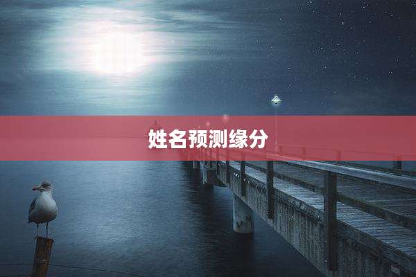 姓名预测缘分