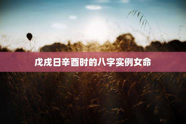 戊戌日辛酉时的八字实例女命