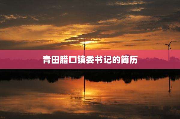 青田腊口镇委书记的简历