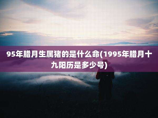 95年腊月生属猪的是什么命(1995年腊月十九阳历是多少号)
