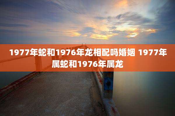 1977年蛇和1976年龙相配吗婚姻 1977年属蛇和1976年属龙