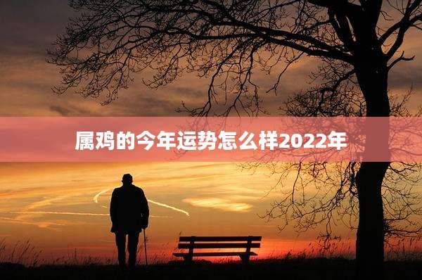 属鸡的今年运势怎么样2022年