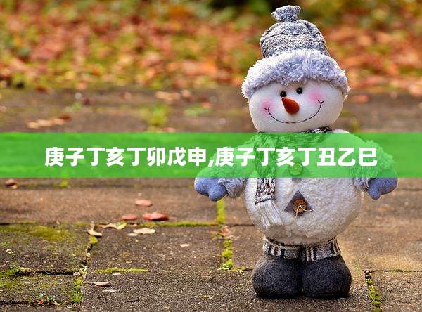 庚子丁亥丁卯戊申,庚子丁亥丁丑乙巳