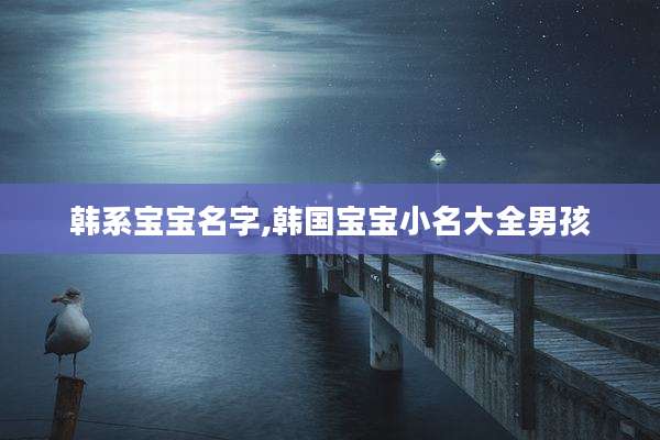 韩系宝宝名字,韩国宝宝小名大全男孩
