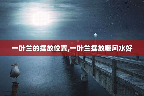一叶兰的摆放位置,一叶兰摆放哪风水好