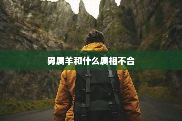 男属羊和什么属相不合