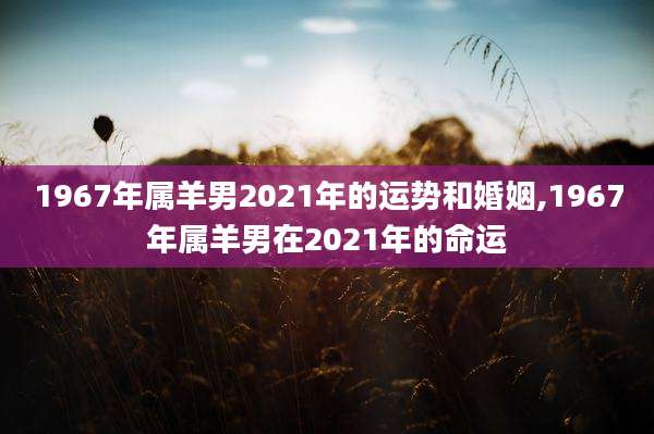 1967年属羊男2021年的运势和婚姻,1967年属羊男在2021年的命运