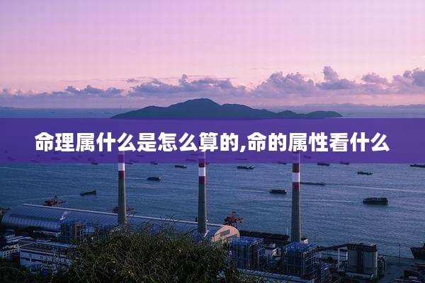命理属什么是怎么算的,命的属性看什么