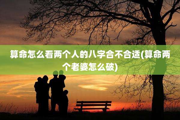 算命怎么看两个人的八字合不合适(算命两个老婆怎么破)