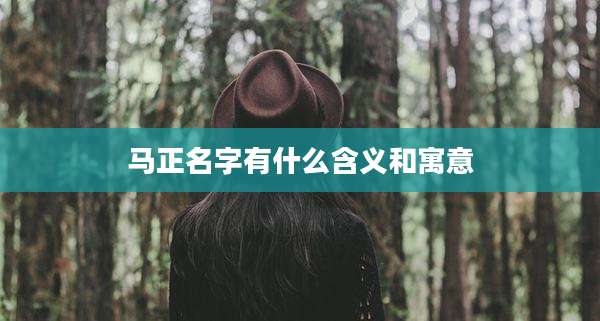 马正名字有什么含义和寓意