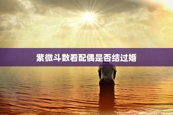 紫微斗数看配偶是否结过婚