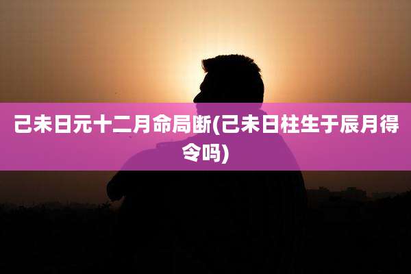 己未日元十二月命局断(己未日柱生于辰月得令吗)