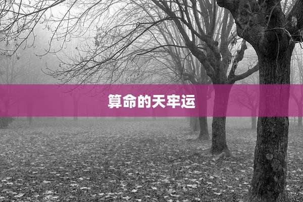 算命的天牢运