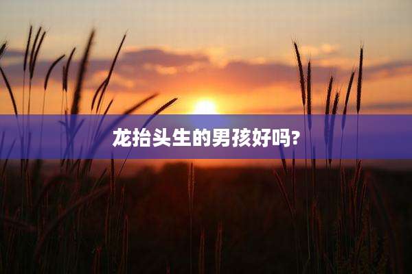 龙抬头生的男孩好吗?
