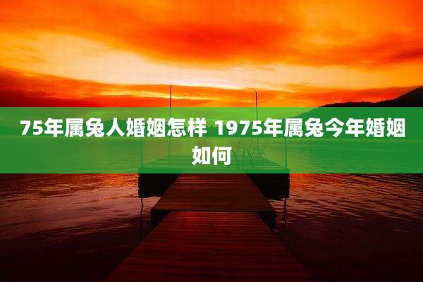 75年属兔人婚姻怎样 1975年属兔今年婚姻如何