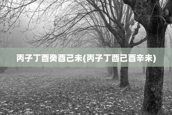 丙子丁酉癸酉己未(丙子丁酉己酉辛未)