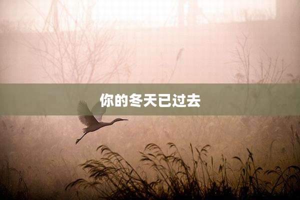 你的冬天已过去