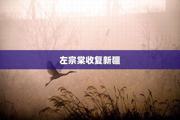 左宗棠收复新疆