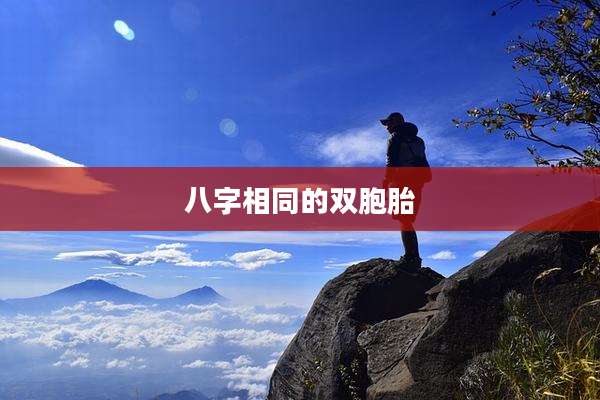 八字相同的双胞胎
