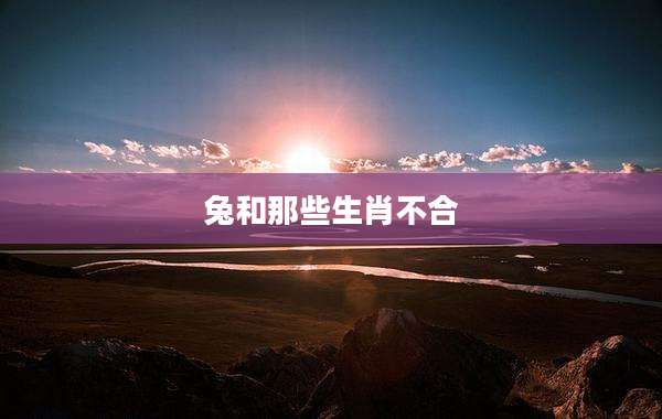 兔和那些生肖不合