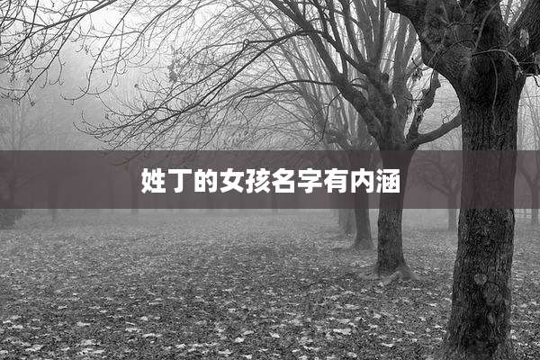 姓丁的女孩名字有内涵