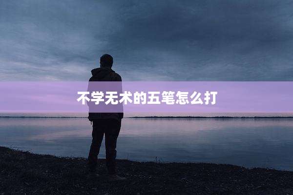 不学无术的五笔怎么打