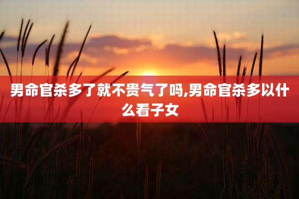 男命官杀多了就不贵气了吗,男命官杀多以什么看子女