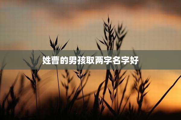 姓曹的男孩取两字名字好